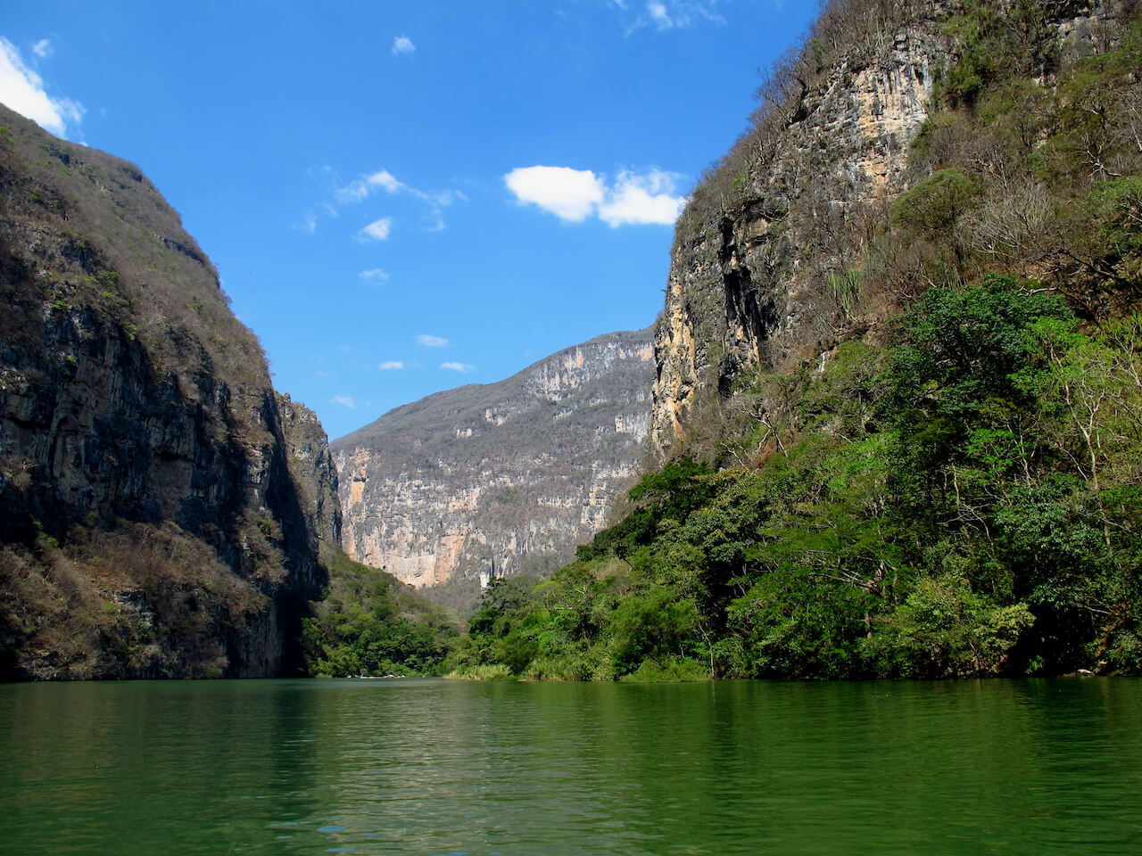 Universidades y carreras en Chiapas