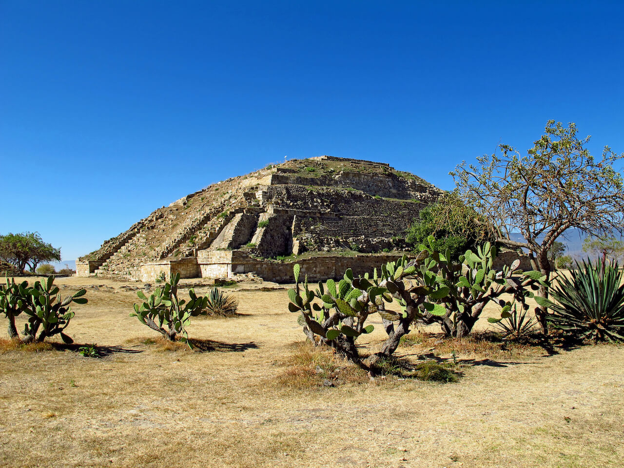 Universidades y carreras en Oaxaca